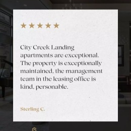 a review on a graphic 