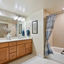 a bathroom with a tub sink and a mirror